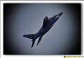 Alpha Jet Solo Display 2011 - 12