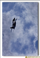 Alpha Jet Solo Display 2011 - 15