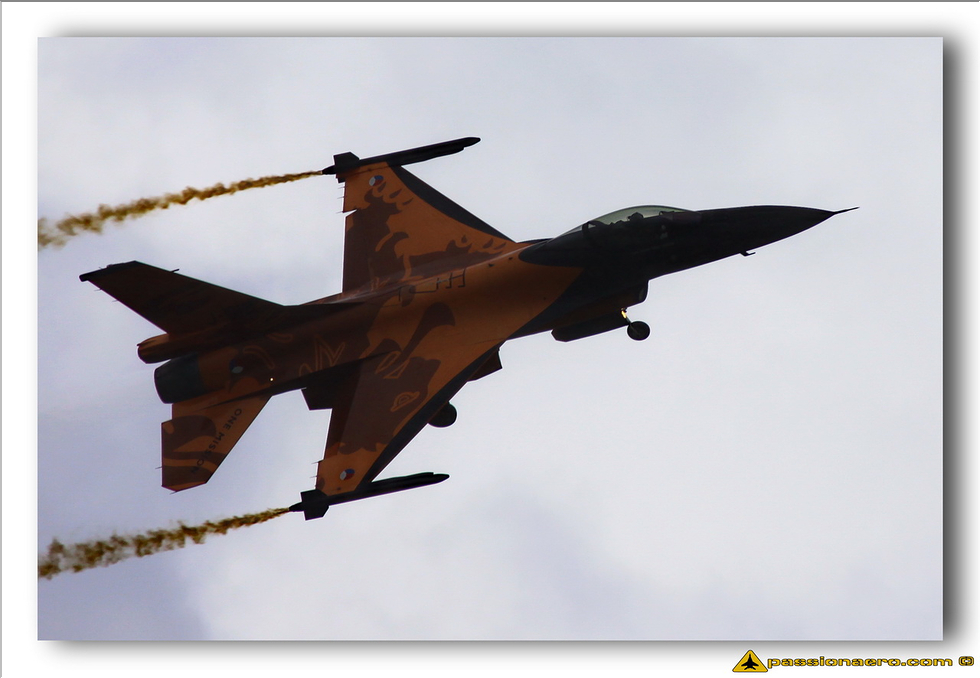 F-16AM Royal Netherland Air Force Solo Display - 10
