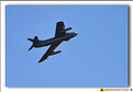 Hawker Hunter - 24