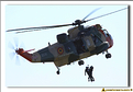 Sea King - 03