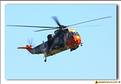 Sea King - 08