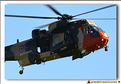 Sea King - 09