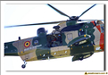 Sea King - 10