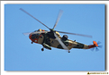 Sea King - 12