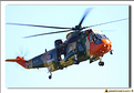 Sea King - 13