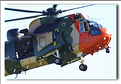 Sea King - 15