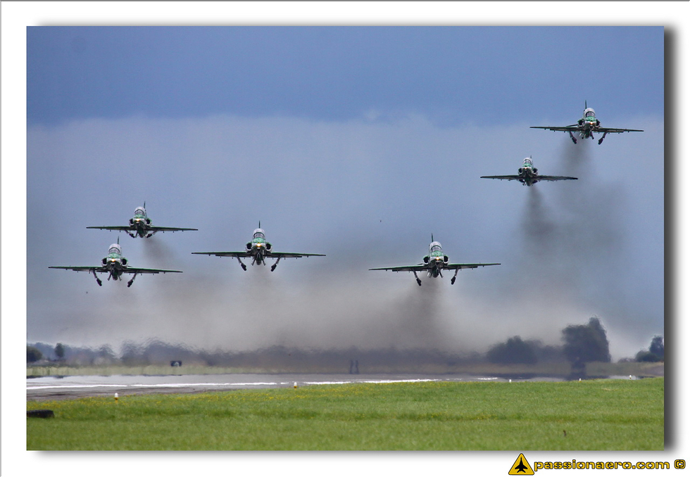Saudi Hawks - 02