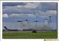 Saudi Hawks - 03