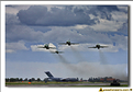 Saudi Hawks - 04