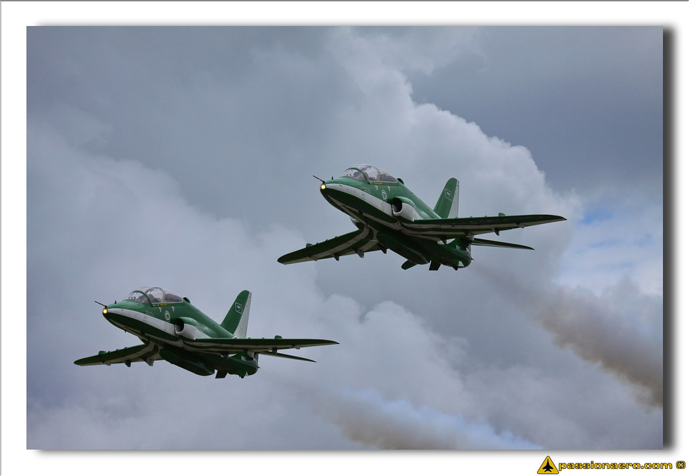 Saudi Hawks - 06