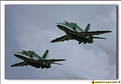 Saudi Hawks - 07