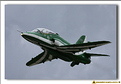 Saudi Hawks - 08