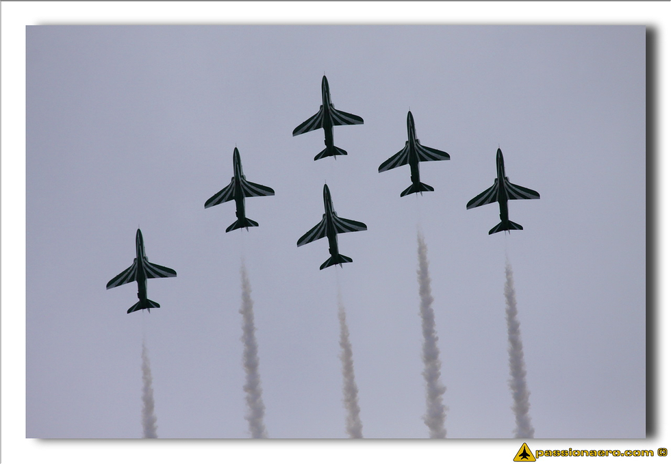 Saudi Hawks - 11