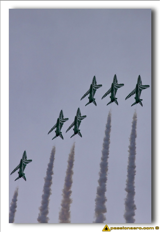 Saudi Hawks - 12