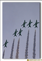 Saudi Hawks - 12