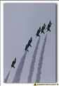 Saudi Hawks - 13