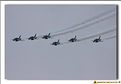 Saudi Hawks - 15