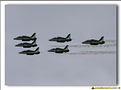Saudi Hawks - 16