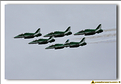 Saudi Hawks - 17