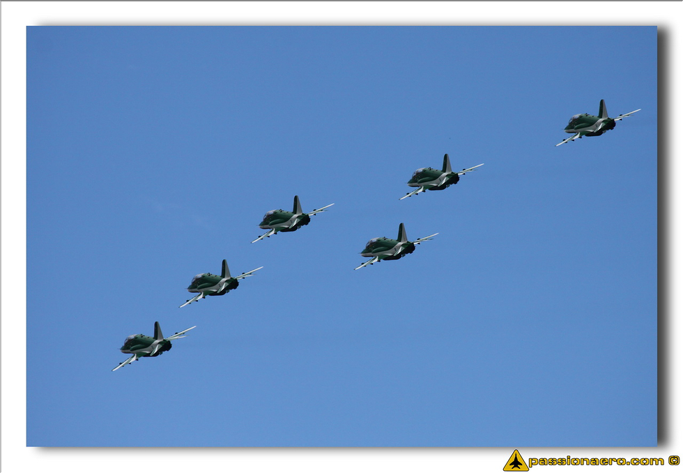 Saudi Hawks - 19