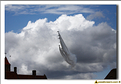 Saudi Hawks - 20