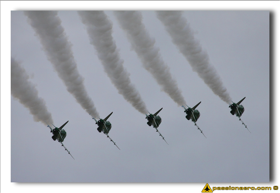 Saudi Hawks - 24