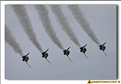 Saudi Hawks - 24
