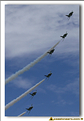 Saudi Hawks - 29