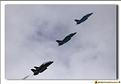 Saudi Hawks - 30