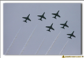 Saudi Hawks - 31