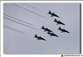 Saudi Hawks - 34