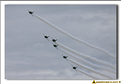 Saudi Hawks - 43