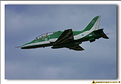 Saudi Hawks - 46