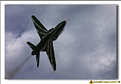 Saudi Hawks - 47