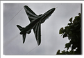 Saudi Hawks - 48